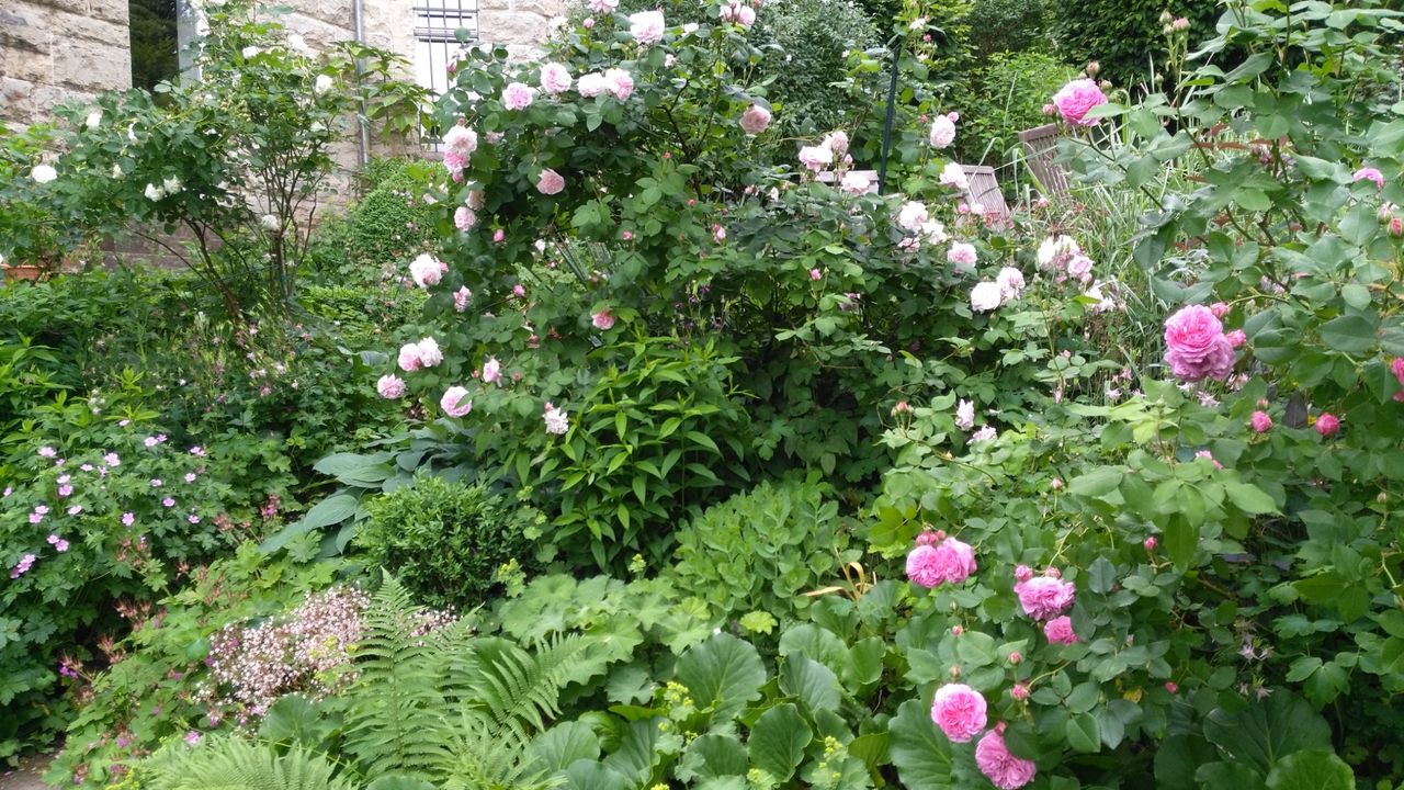 Garten Garten